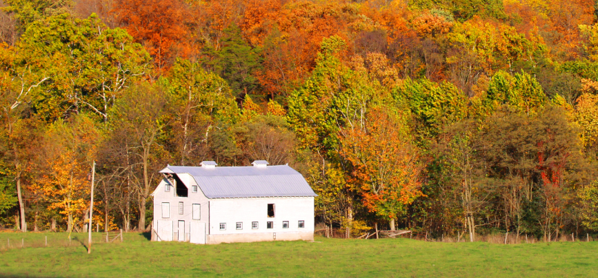 a farmhouse in a wooded area among fall colored trees